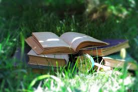 ¿ Sabías que leer rápido te cambiará la vida?